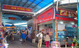 长沙市花鸟鱼虫市场地址再哪？