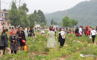 四川遂宁射洪双溪乡