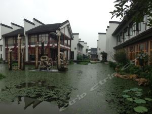 浙江湖州荻港渔庄景点介绍(湖州市区免费停车场有哪些)