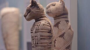 你见过木乃伊的真身吗 你见过保存如此完好的干尸吗 埃及墓葬文化如此神奇