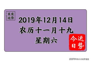 12星座12月14日运势 处女座忍辱负重,水瓶座大受刺激