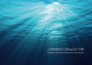 上海海昌海洋公园logo设计