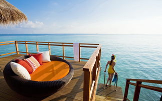 马尔代夫哪些评分高的酒店最受欢迎