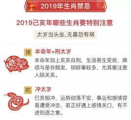 抢占先机 趋吉避凶,2019生肖运程助你收获幸福