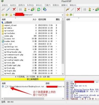 网站根目录是哪个_网站的根目录在哪里_网站根目录在哪里-什么是网站的