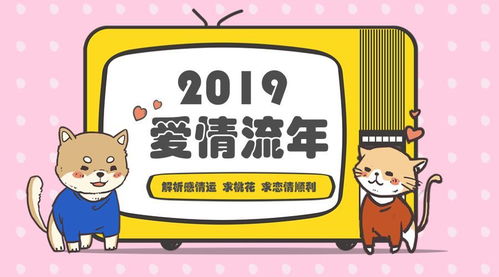 测12星座2019爱情运势