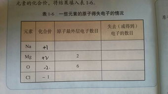 印章印模表怎么弄好看，印章表格怎么做(印章表格模板)