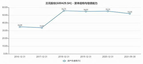 三元股份是什么