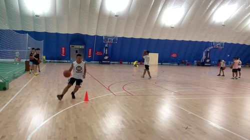 江西省体育高考专项篮球急停单手肩上投篮练习 