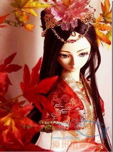 求几张SD娃娃中国古典宫廷图片