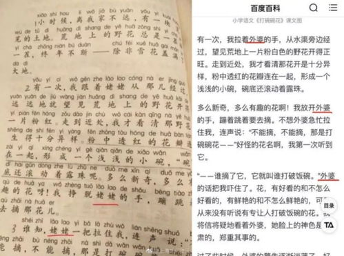 去外婆家作文400字