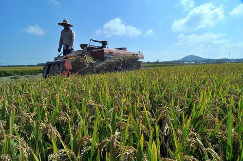 20个你不知道的关于河北的冷知识