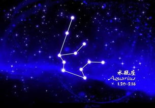 2月14阳历是什么星座 