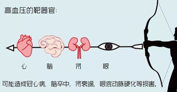 高血压的惊人真相 转载