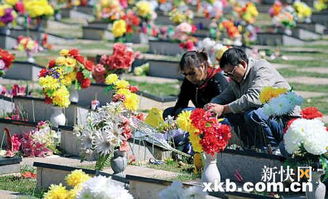 祭奠亡人的花 适合扫墓的鲜花