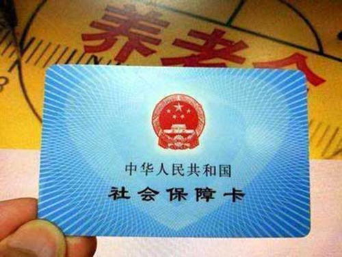 刚成年怎么交养老保险费,学生年满十八岁可以买社保吗?