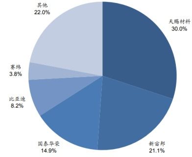 电解液项目投资价值分析报告 电解液价格稳中有升