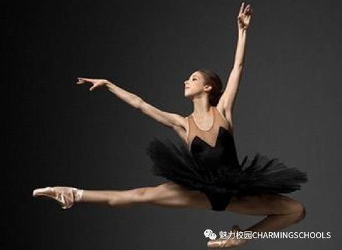 芭蕾舞学院 全球最好的几所芭蕾舞院校是哪个