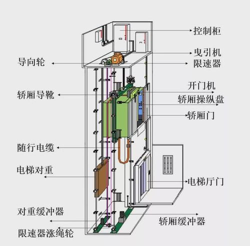 电梯冷知识介绍(电梯相关知识入门)