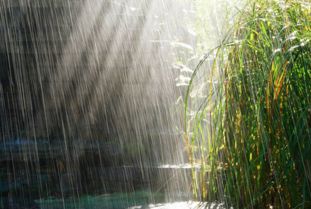 周公解梦梦见下雨发洪水