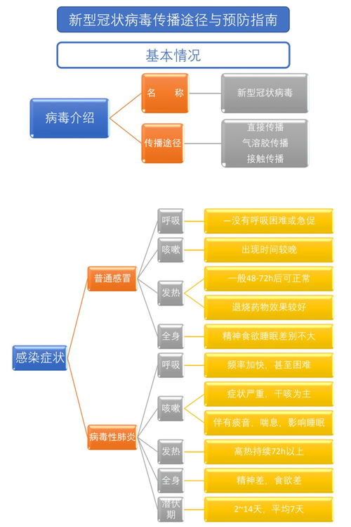 如何应对查重工具的变化和发展