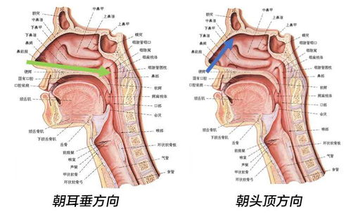 鼻咽拭子采集越来越多,这几点操作总结一定要看