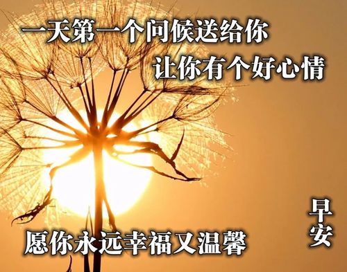 励志语录情歌对唱  团建队歌有气势的歌曲？