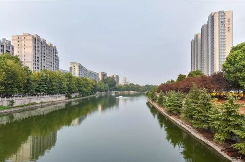 南京古城春意盎然，绿意盎然绘就生态新画卷