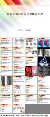 动脉导管未闭护理措施PPT下载