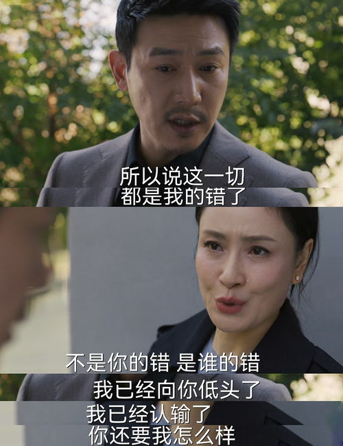 《温暖的甜蜜的》陈放复婚了吗