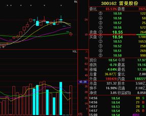 如果现在还持有雷曼兄弟的股票（代码LEH)的，其股票未来应该在什么价位比较合理！（上周末是0.21美元）