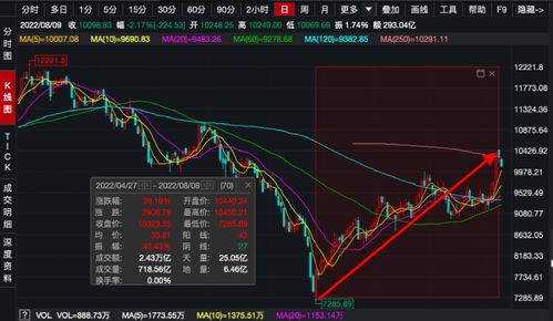 基金净值查询550001