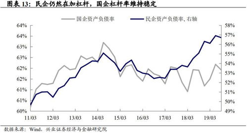 公司分配股利应占利润总额的多少?