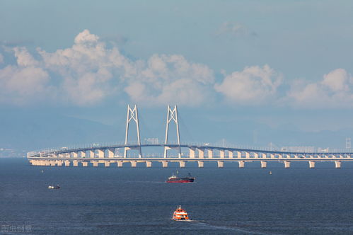 海洋那么深 跨海大桥 是怎么修建的,桥墩是如何打桩的 基建看齐中国