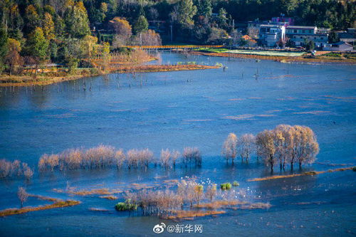 关于湖水的诗句大全