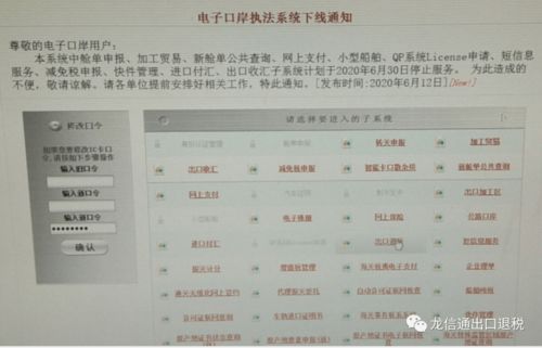 中国电子口岸（中国电子口岸系统查询报关单号） 第1张