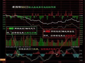 查询9:30分委托买卖笔数股票在哪寻找