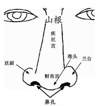 鼻子能看出一个人财运吗 