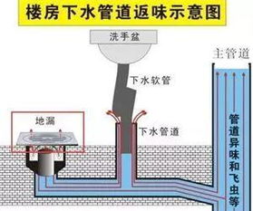 5分钟解决反臭 卫生间防臭指南,反臭问题永不再有