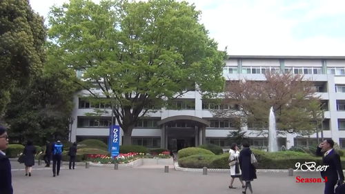 大学留学日本条件(去日本留学有什么要求)