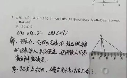 学生恶搞数学题,元芳你怎么看 老师 不用读了,直接回家吧