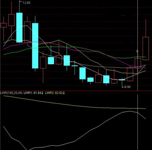 股票里的威廉指标是什么