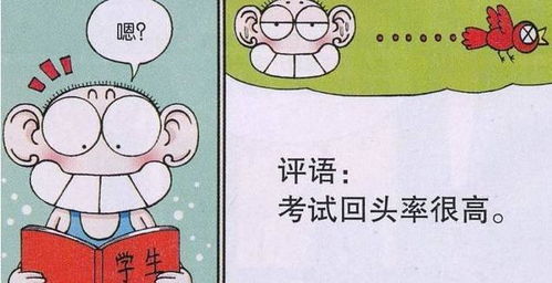 搞笑漫画 呆头考试回头率那么高,为啥每次还考0分 强叔 