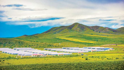 内蒙古赤峰阿鲁科尔沁旗乌兰哈达乡天气预报