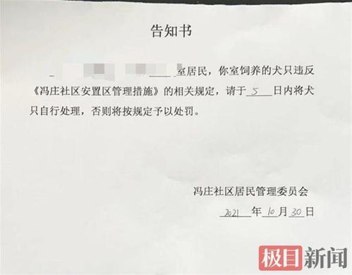 郑州一社区全面禁止养狗引质疑,居委会 不会强行开门捉狗