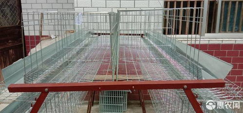 厂家直营阶梯式蛋鸡笼四门五门铁丝笼子养鸡铁丝网种鸡笼铁价格43元 个 惠农网 