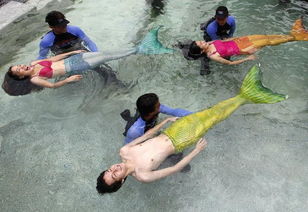 菲律宾开设 美人鱼 体验课程