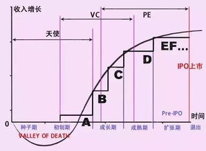 a轮b轮什么意思