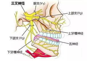 十堰一女子10年不敢笑,痛苦到撞墙 背后原因竟是