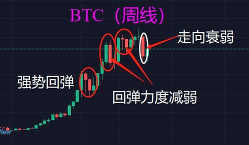 比特币技术分析教程,比特币的技术和应用特征